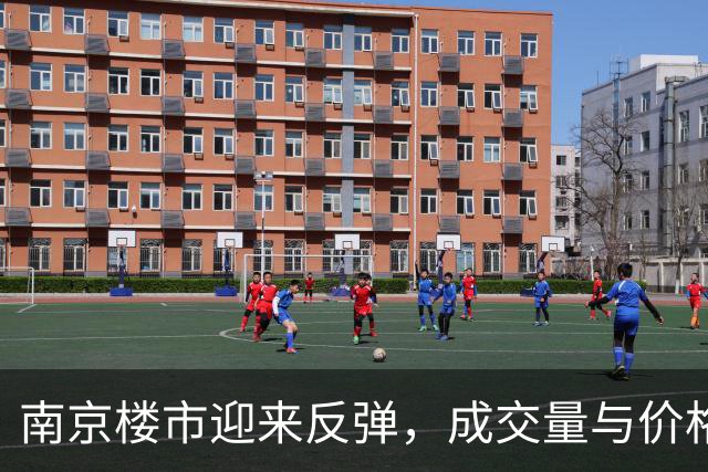 南京楼市迎来反弹，成交量与价格双双上扬